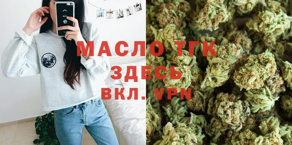 стаф Туринск