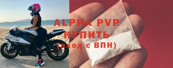 стаф Туринск