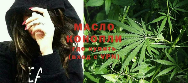 стаф Туринск