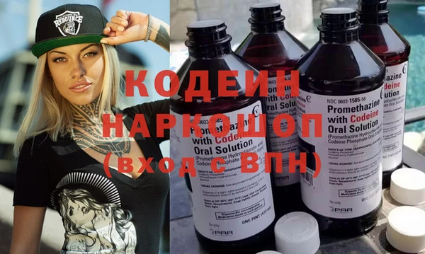 стаф Туринск
