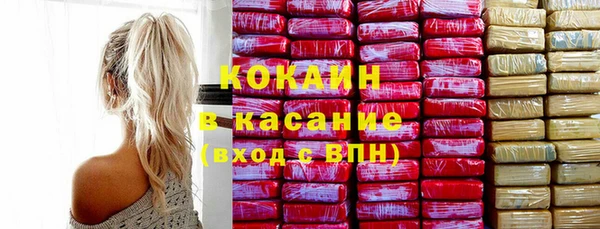 дживик Мегион