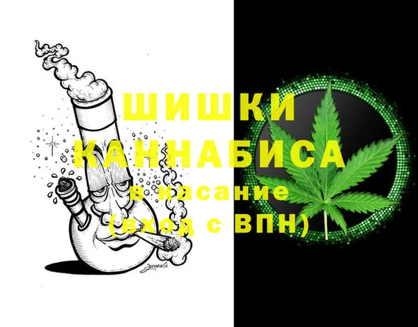 бошки Медногорск