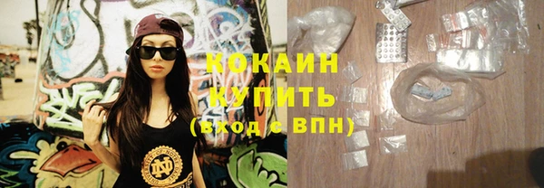 стаф Туринск