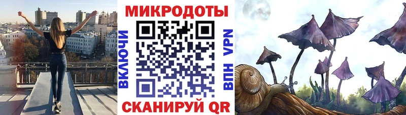Купить  Андреаполь  Псилоцибиновые грибы ЛСД 